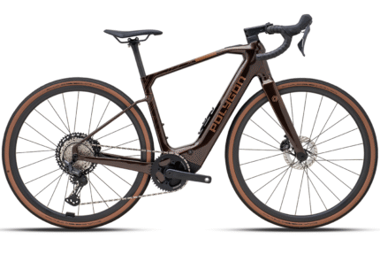 Polygon Tambora AE-N Carbon - eGravel Bike